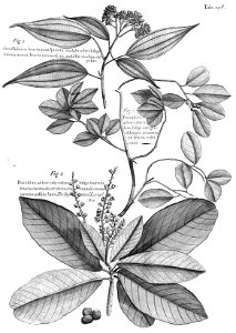 n561_w1150