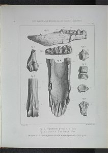n198_w1150