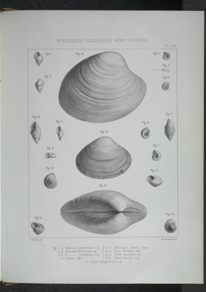n226_w1150
