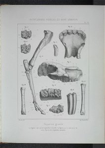 n196_w1150