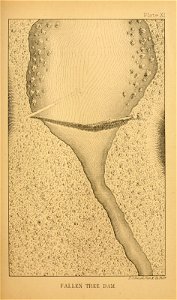 n138_w1150
