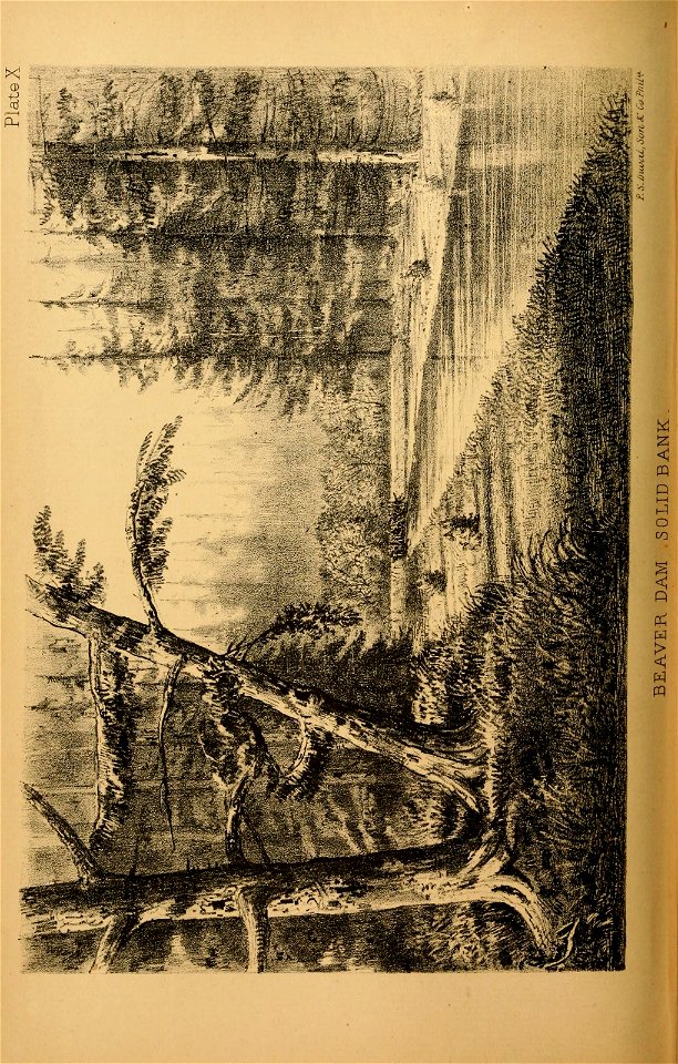 n135_w1150