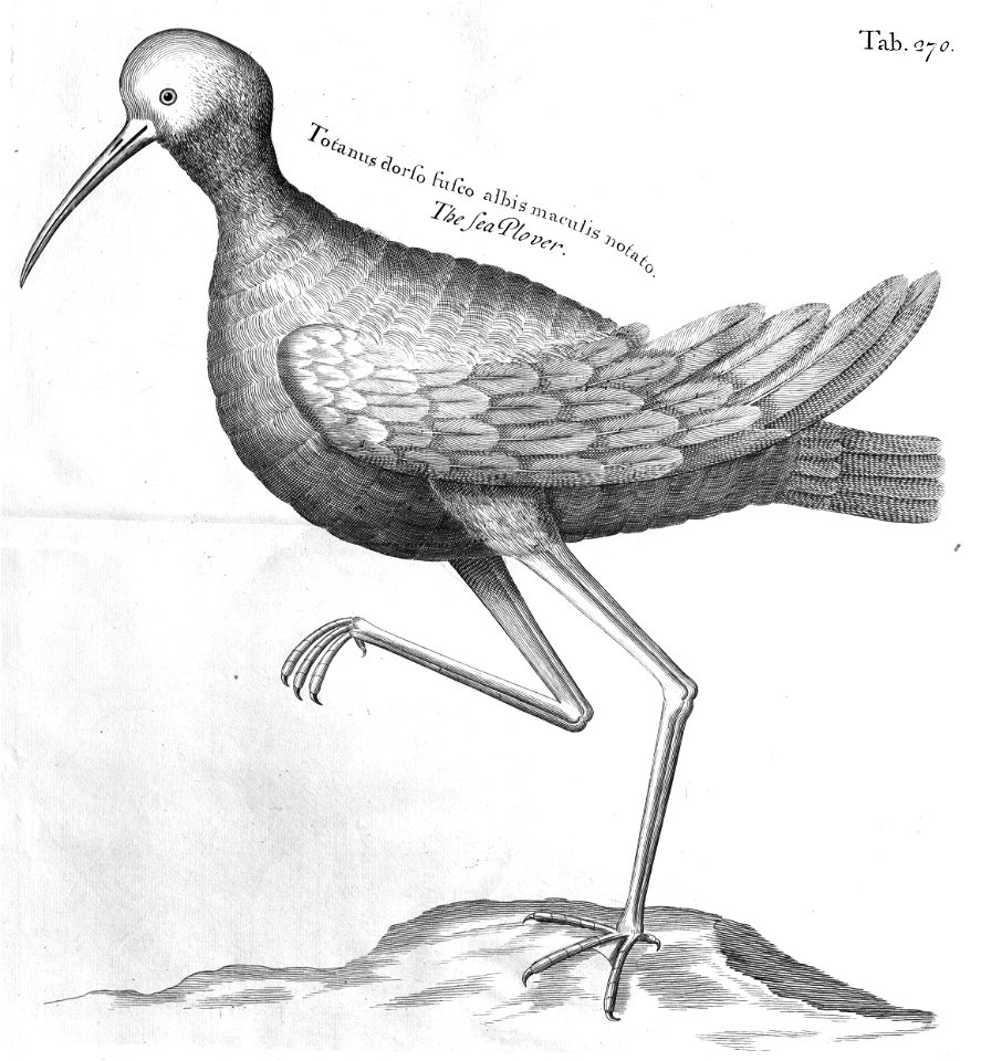 n633_w1150