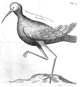 n633_w1150