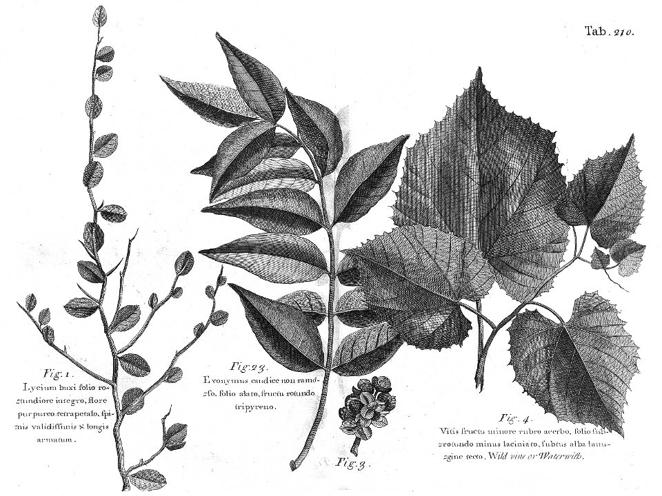 n573_w1150