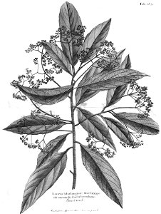n528_w1150