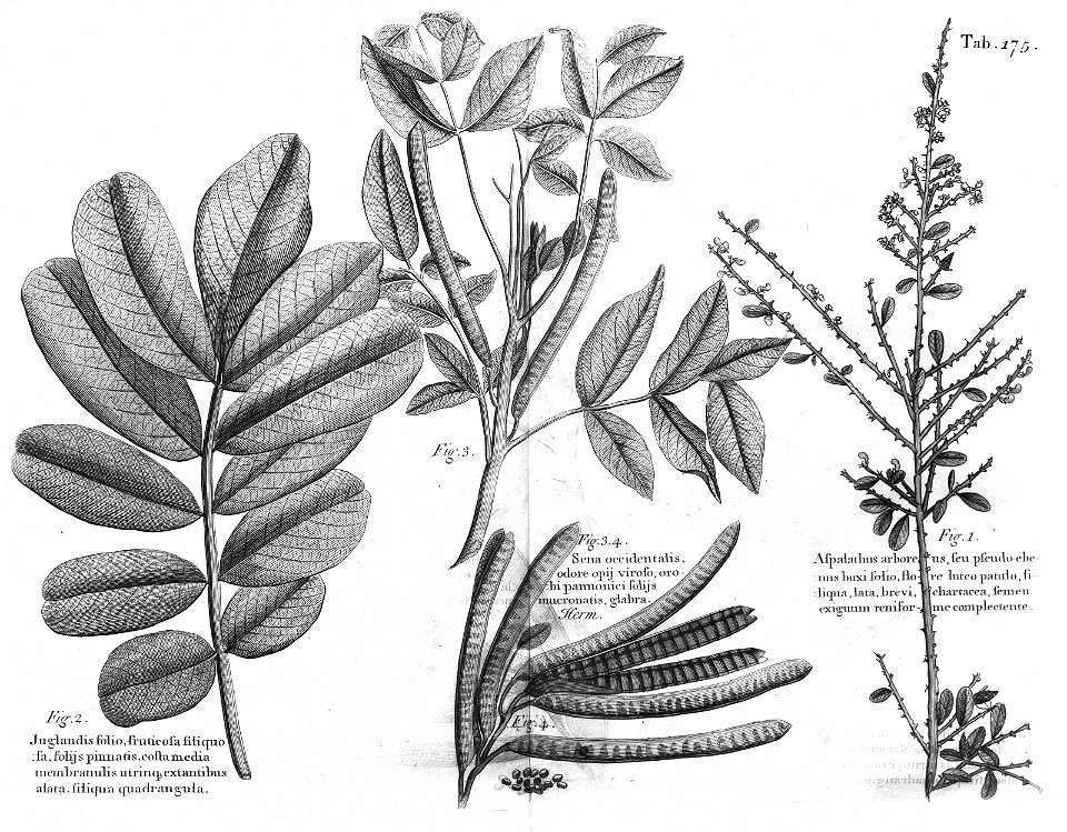 n538_w1150