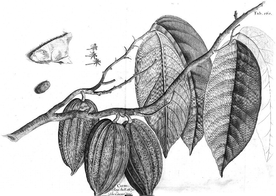 n523_w1150