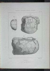 n212_w1150