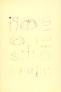 n132_w1150