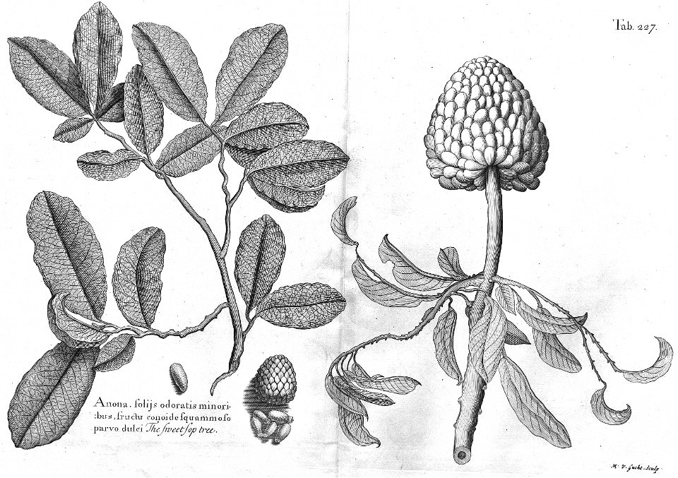 n590_w1150