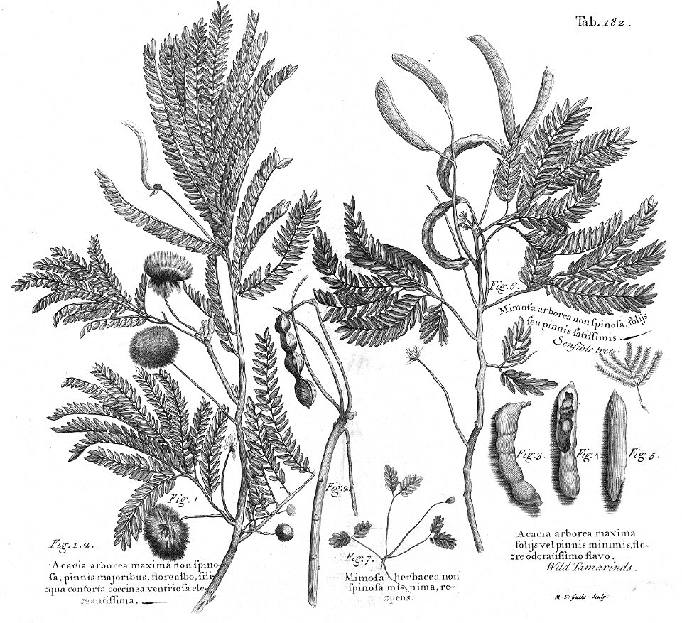 n545_w1150