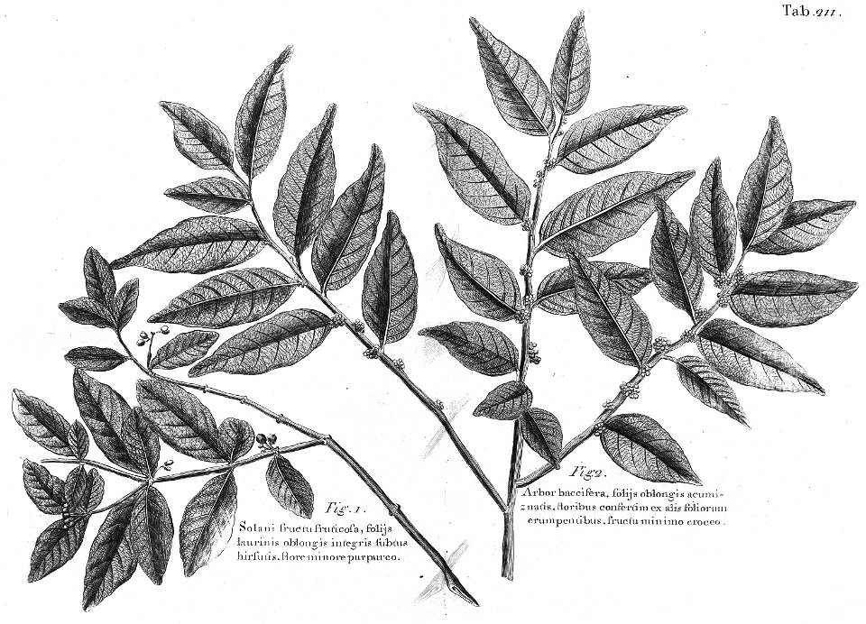 n574_w1150