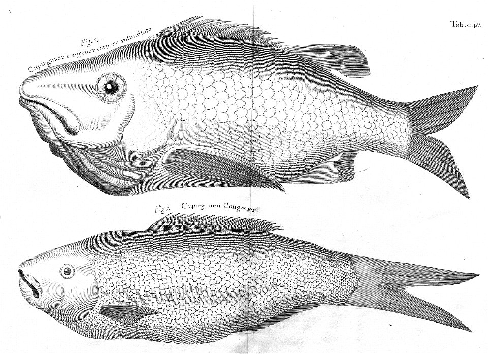 n611_w1150
