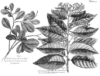 n567_w1150