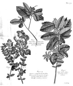 n537_w1150