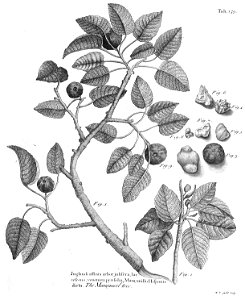 n522_w1150