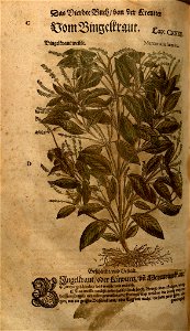 n1154_w1150