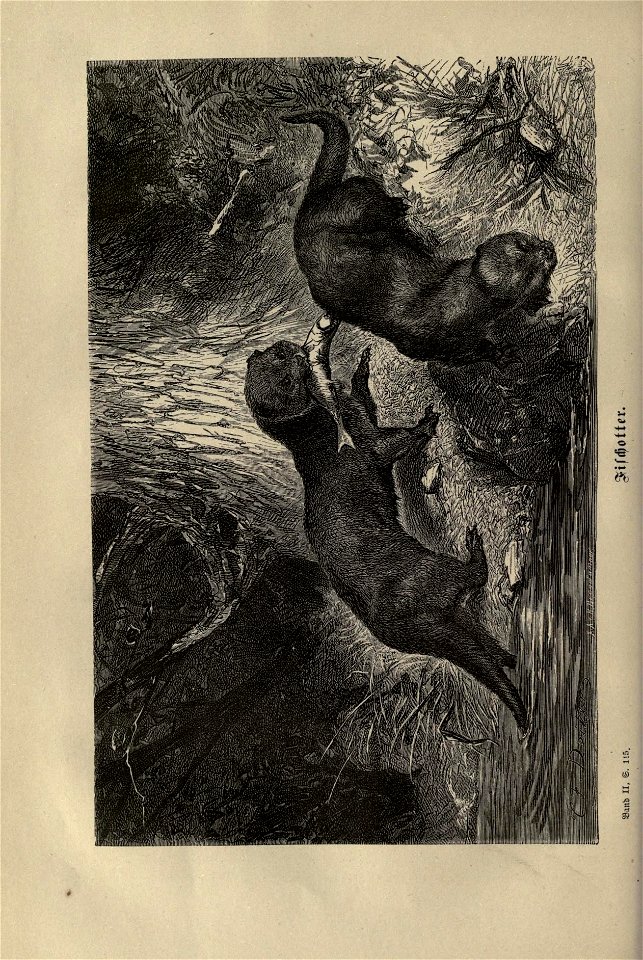n137_w1150