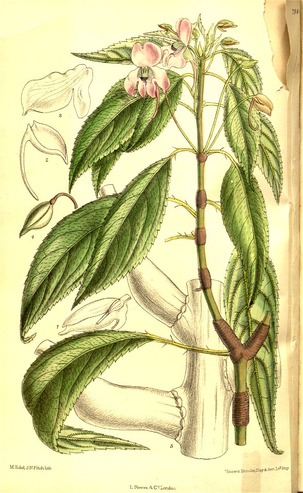 n122_w1150