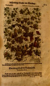 n1179_w1150
