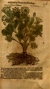 n1117_w1150