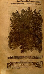 n1062_w1150