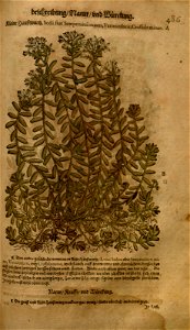 n1043_w1150