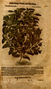 n1155_w1150