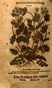 n1098_w1150