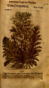 n1059_w1150