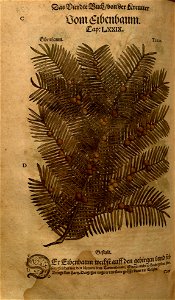 n1020_w1150