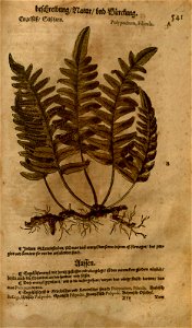 n1153_w1150