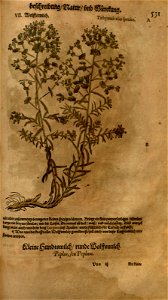 n1133_w1150
