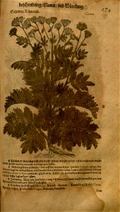 n1019_w1150