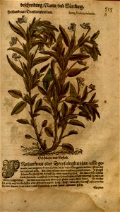 n1101_w1150