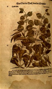 n1022_w1150