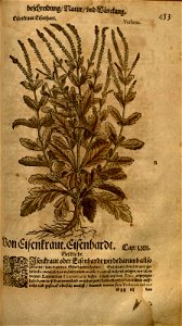 n979_w1150