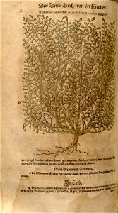 n822_w1150