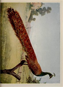 n158_w1150