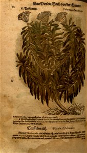 n1132_w1150