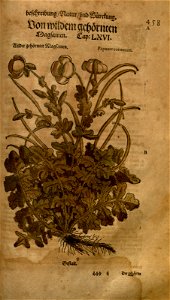 n987_w1150
