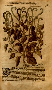 n1159_w1150