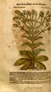 n598_w1150
