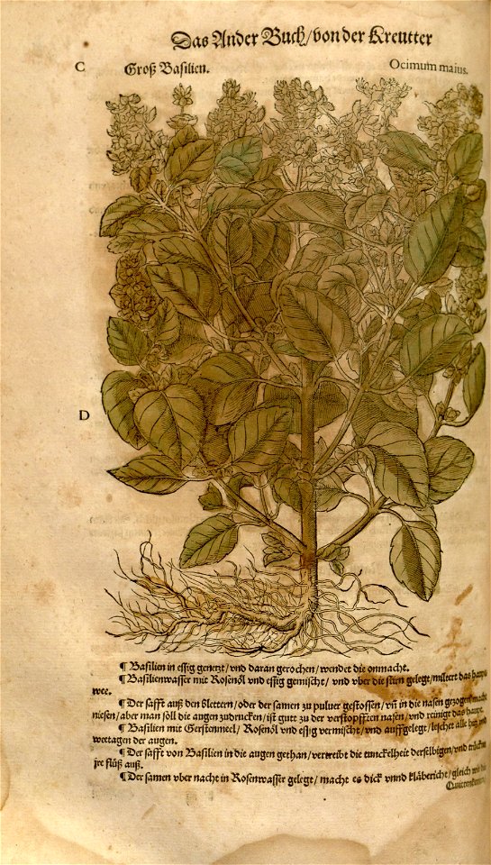 n464_w1150