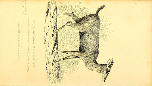 n181_w1150