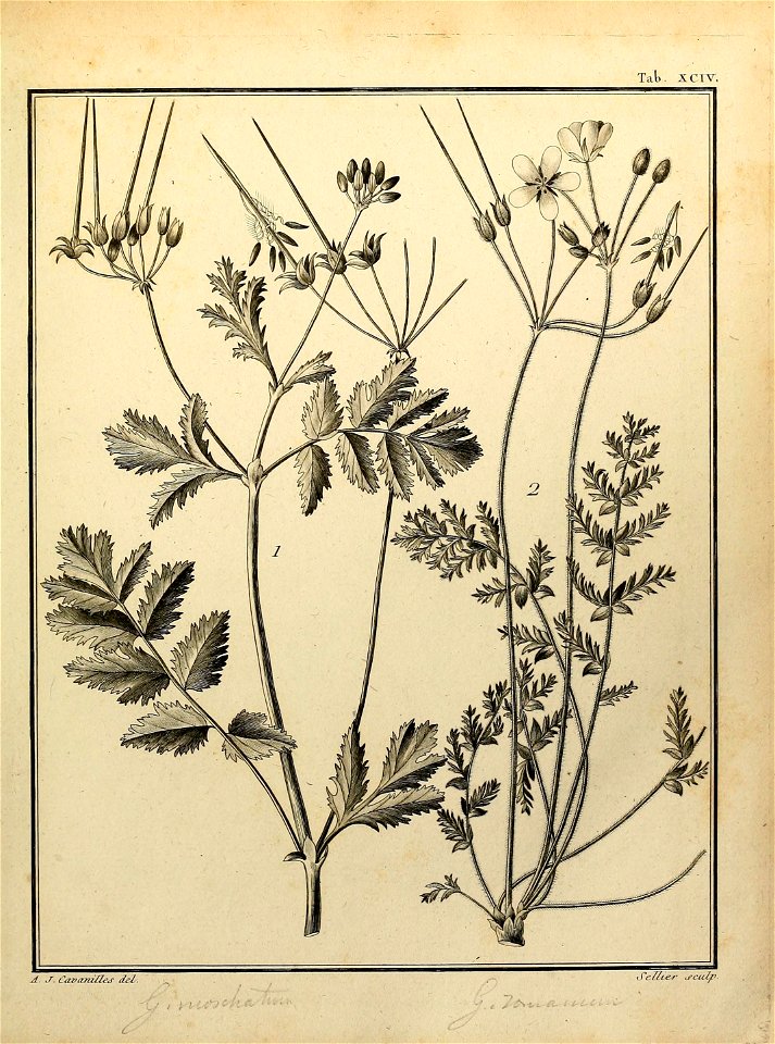 n504_w1150