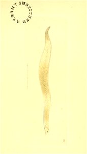 n30_w1150