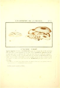n50_w1150