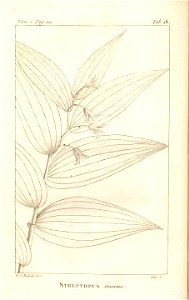n229_w1150